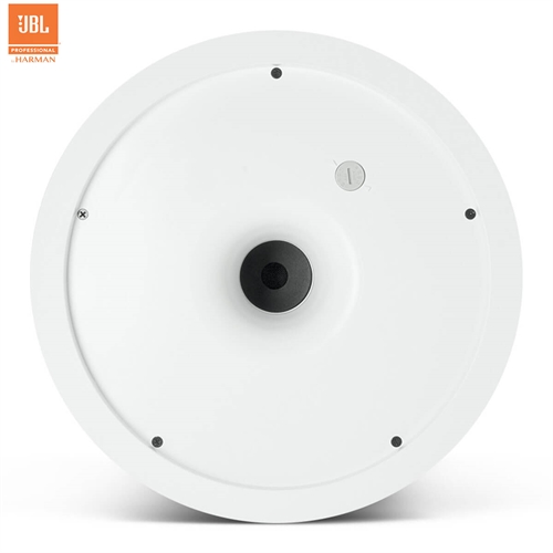 Loa JBL Control 19CST 3